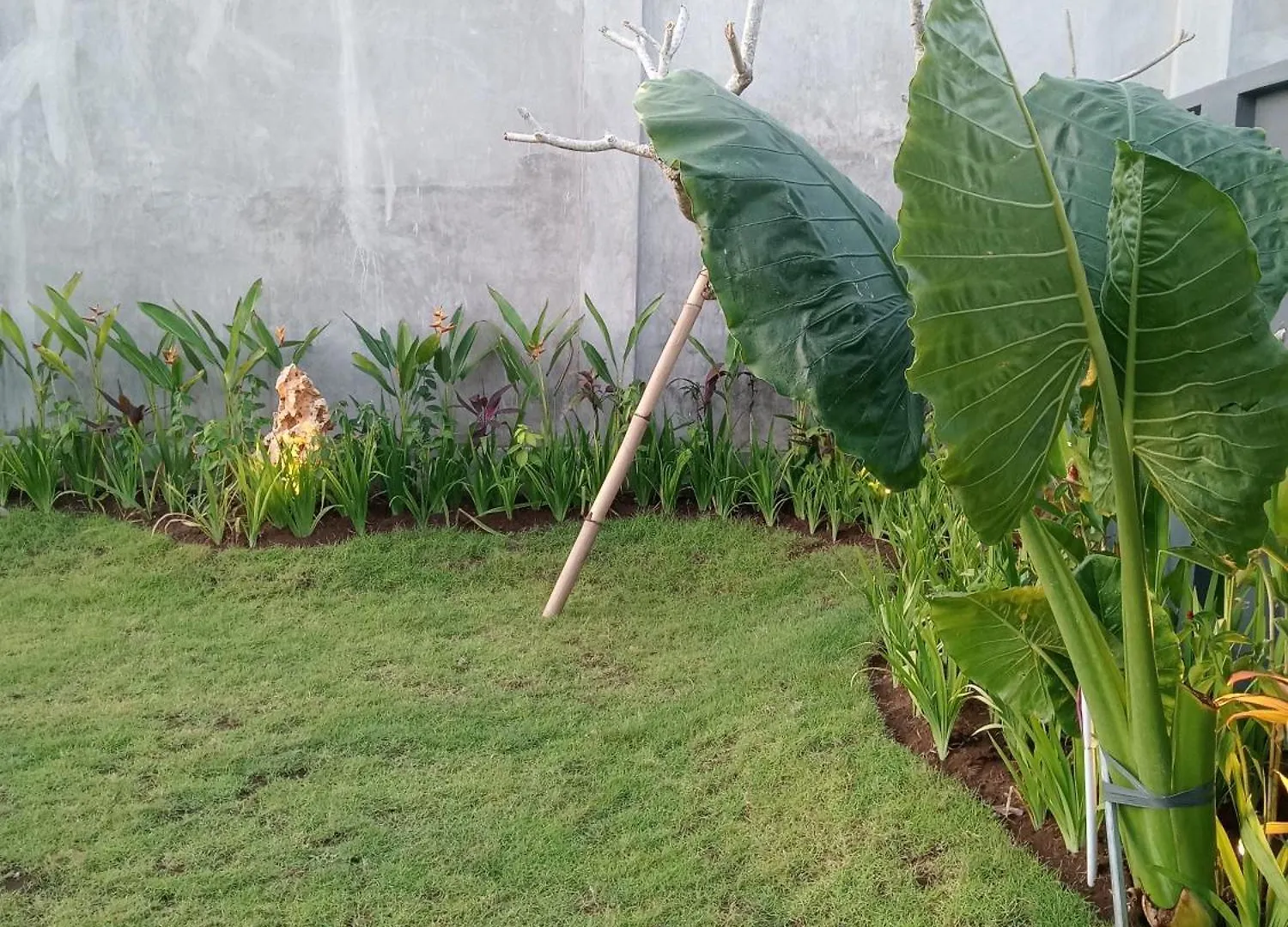 Parama Homestay Balangan Uluwatu