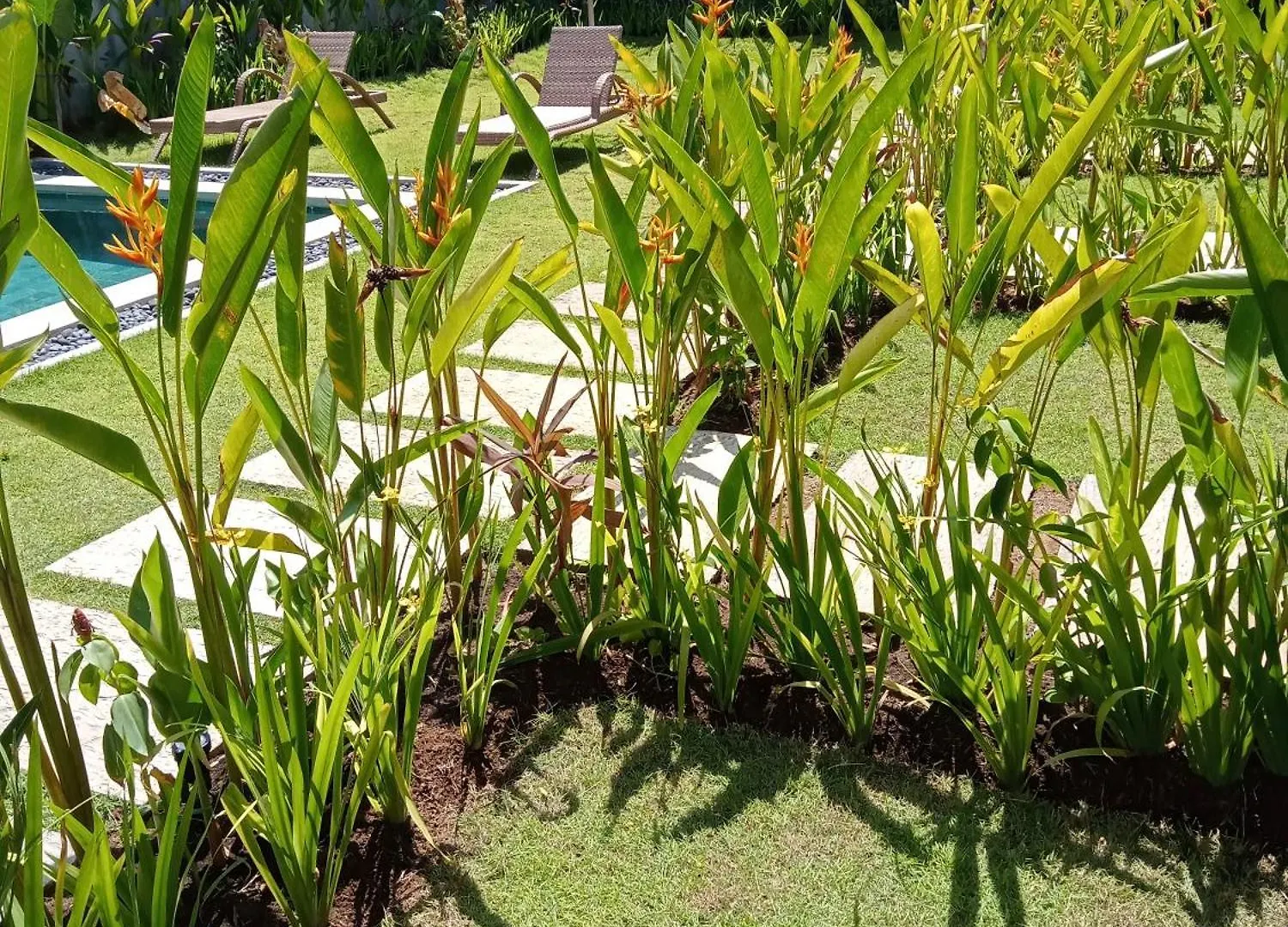 Parama Homestay Balangan Uluwatu  Indonesia